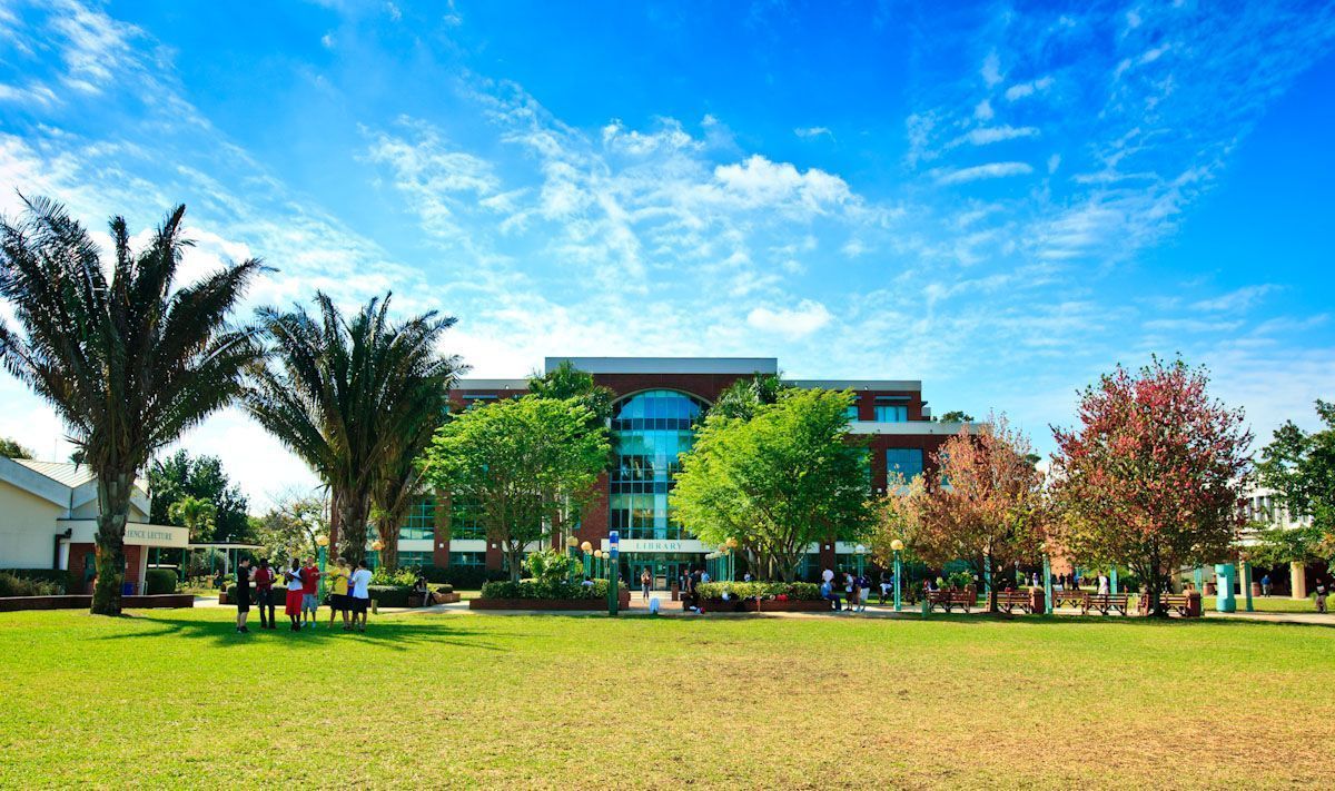 Gramado do Central Campus, em Davie, com palmeiras e a fachada de tijolos da Biblioteca (Prédio 17) ao fundo