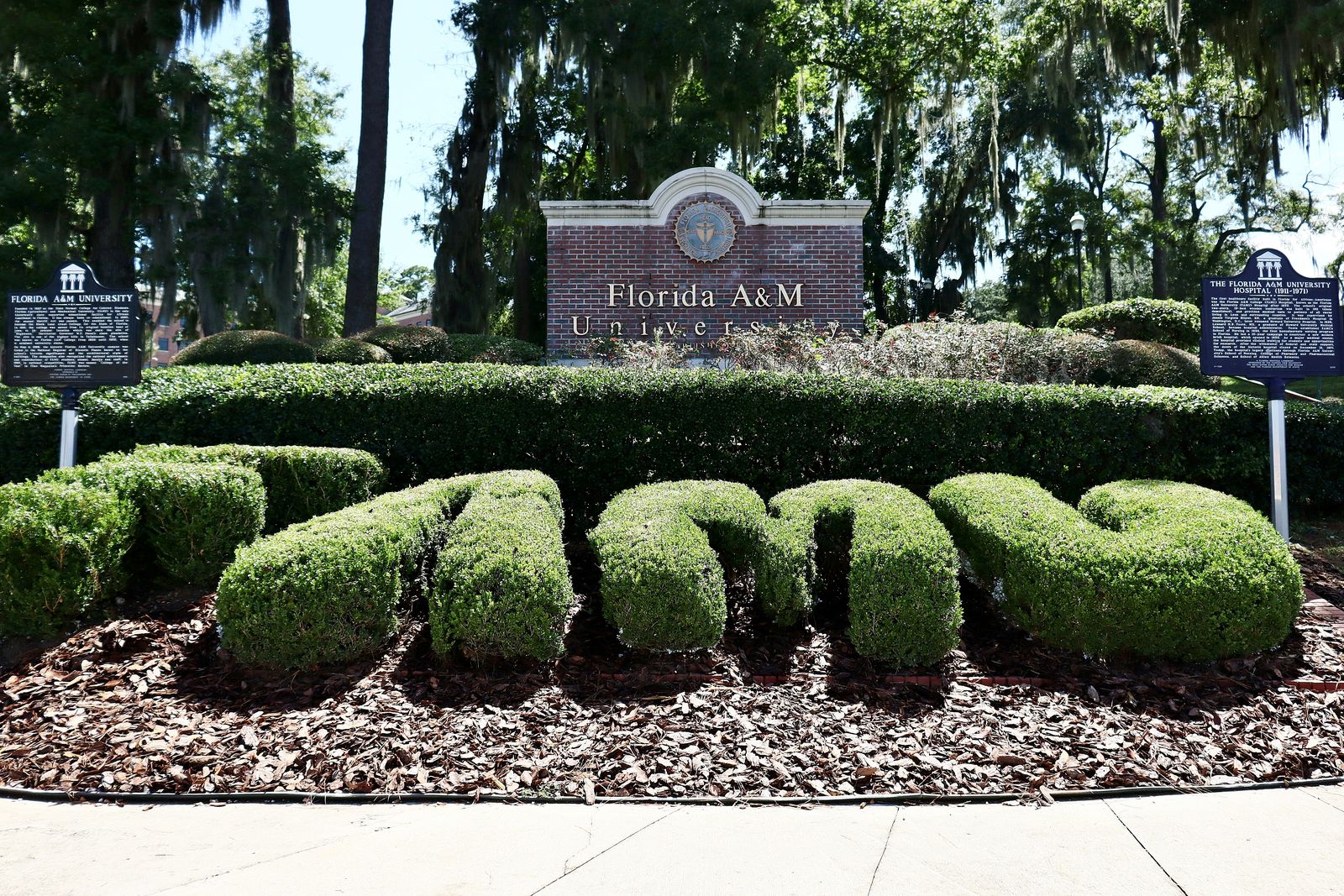 The FAMU topiary letters and the Florida A&M University entrance sign under live oaks draped in Spanish moss
