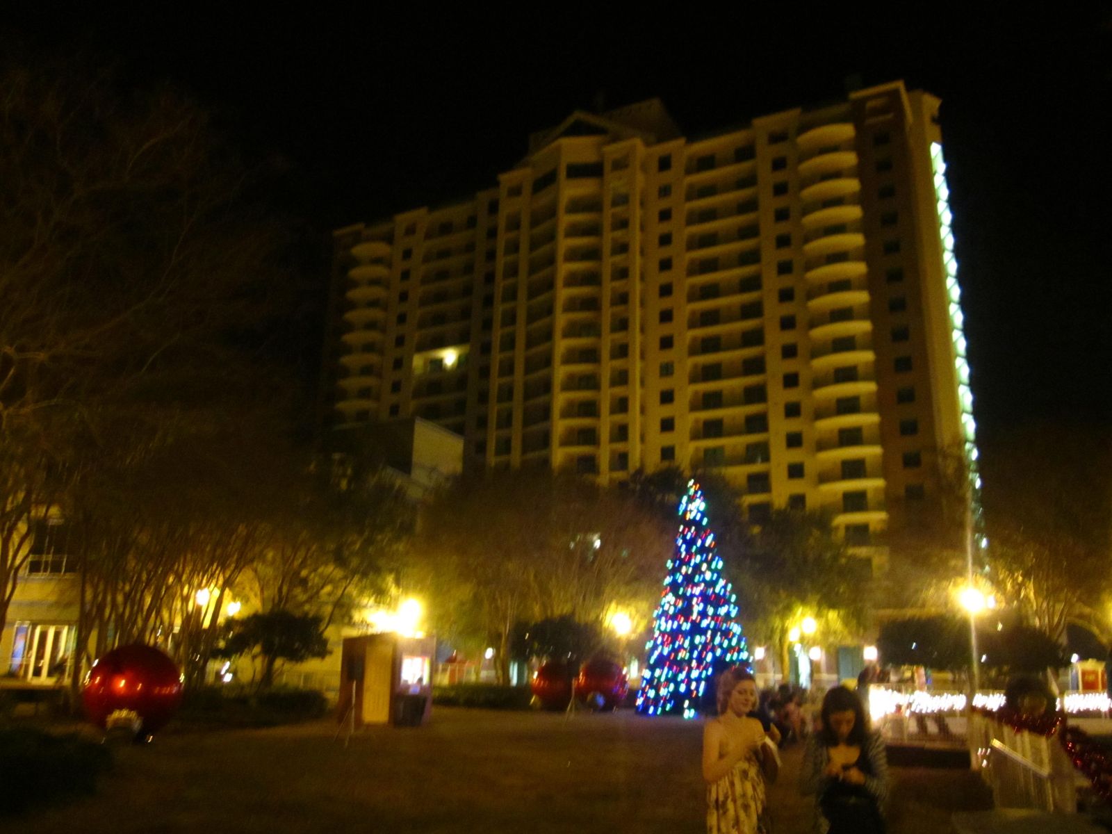 Downtown Tallahassee at night at Christmas, with the lit tree and high-rise buildings behind