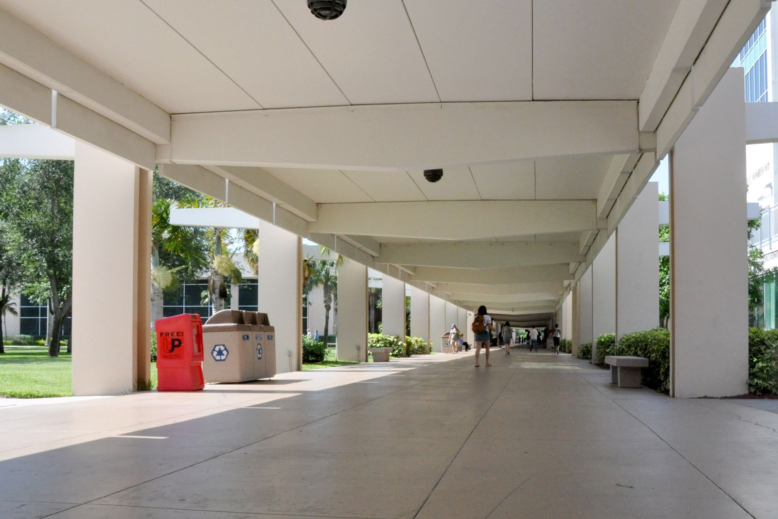 The Breezeway, the covered walkway with white columns that runs through FAU's Boca Raton campus, empty on a sunny day