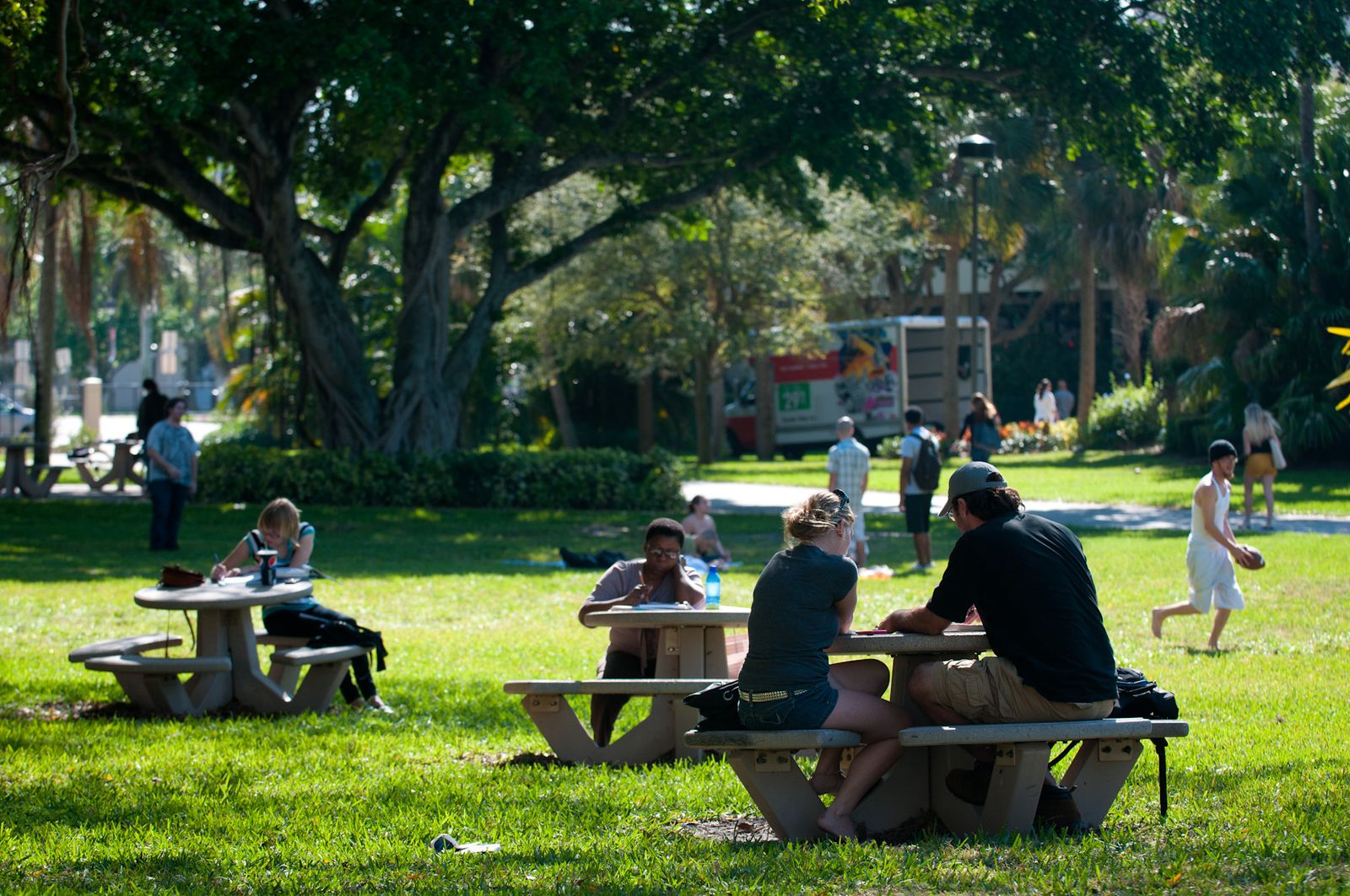 Students sitting at picnic tables under the trees on the lawn of FAU's Boca Raton campus on a sunny February day