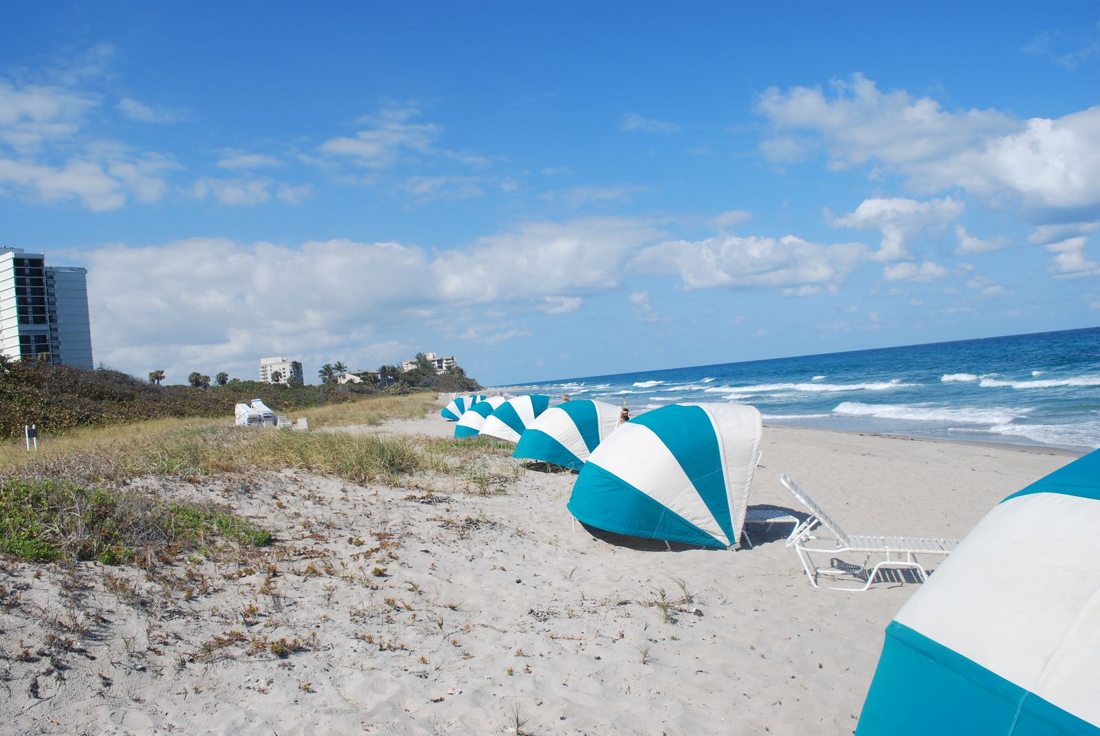 Boca Raton beach looking south, with blue-and-white umbrellas on the sand, the ocean and the dunes