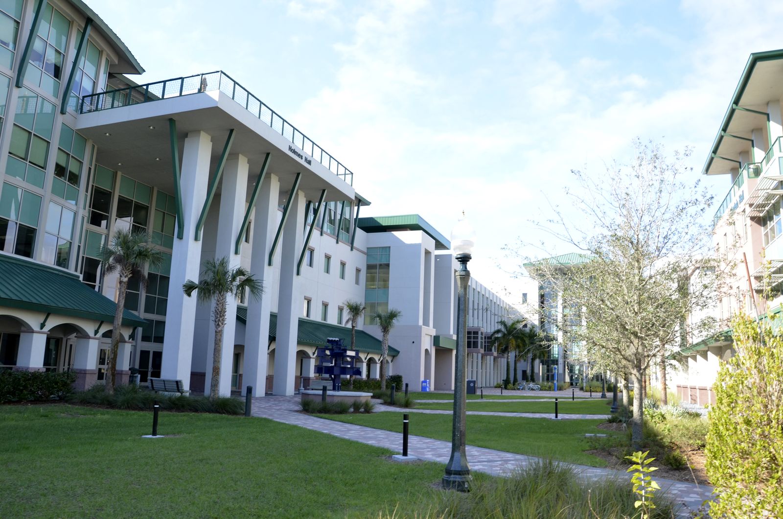 Paved walkway between palm trees and green-roofed buildings in the Academic Core, the academic heart of the FGCU campus