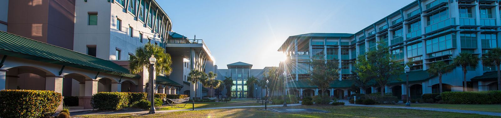 Sun rising between the green-roofed academic buildings and palm trees of the central courtyard on the FGCU campus