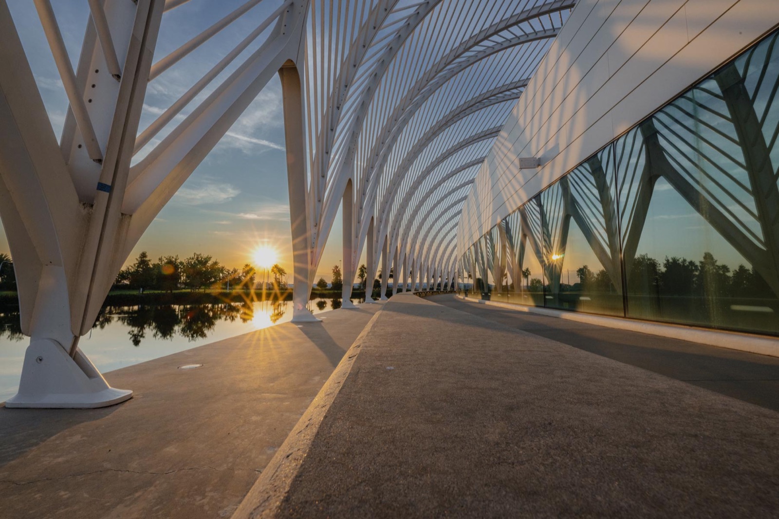 Walkway beneath the white steel pergola of Florida Poly's IST Building at sunrise
