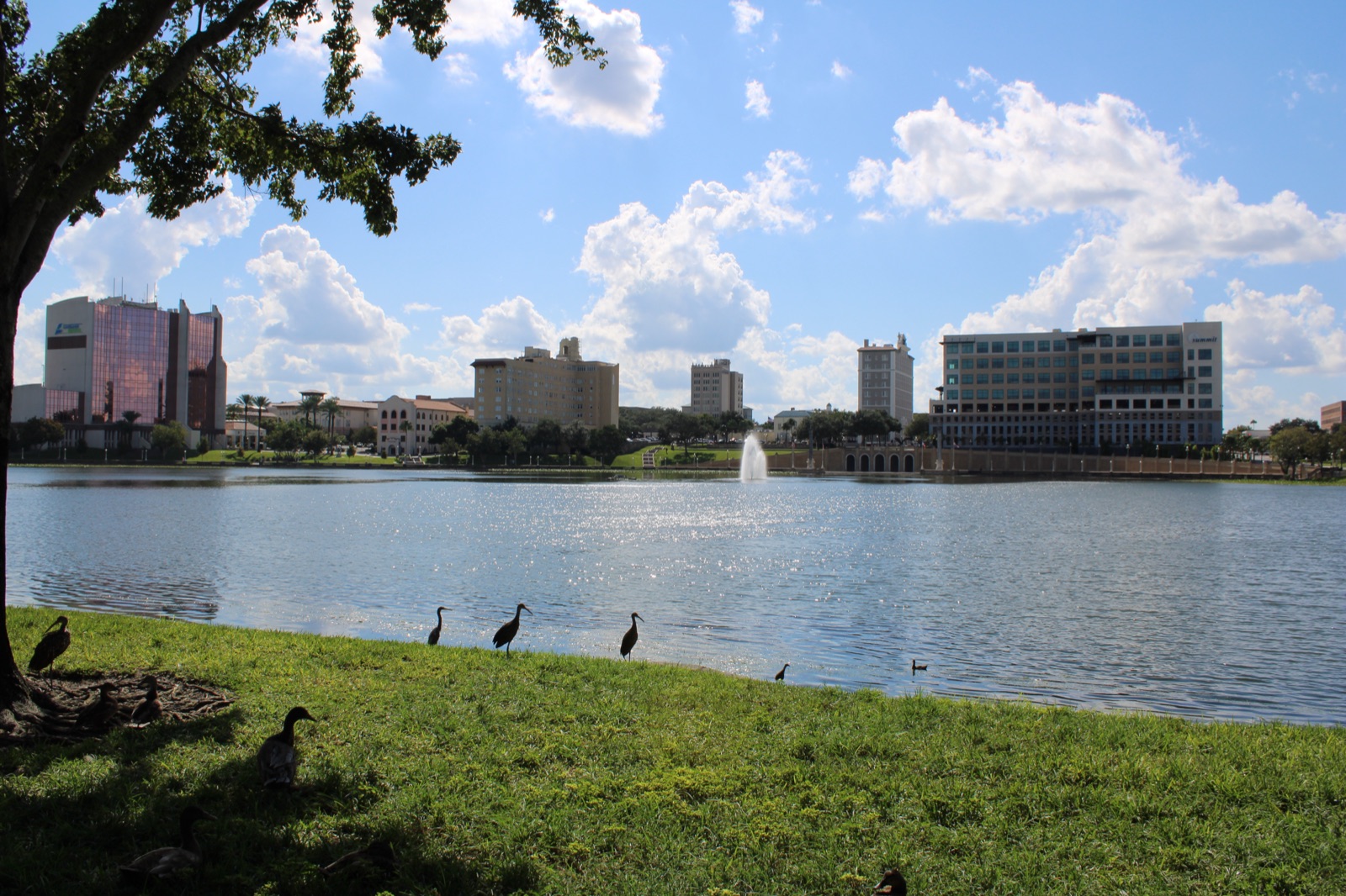 Lake Mirror in downtown Lakeland, with the fountain and downtown buildings behind on a sunny afternoon