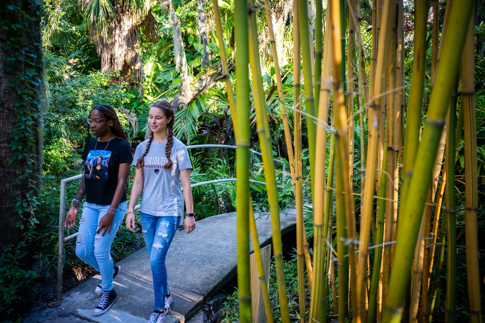 Two students walk among bamboo in the Florida Tech botanical garden, known as The Jungle