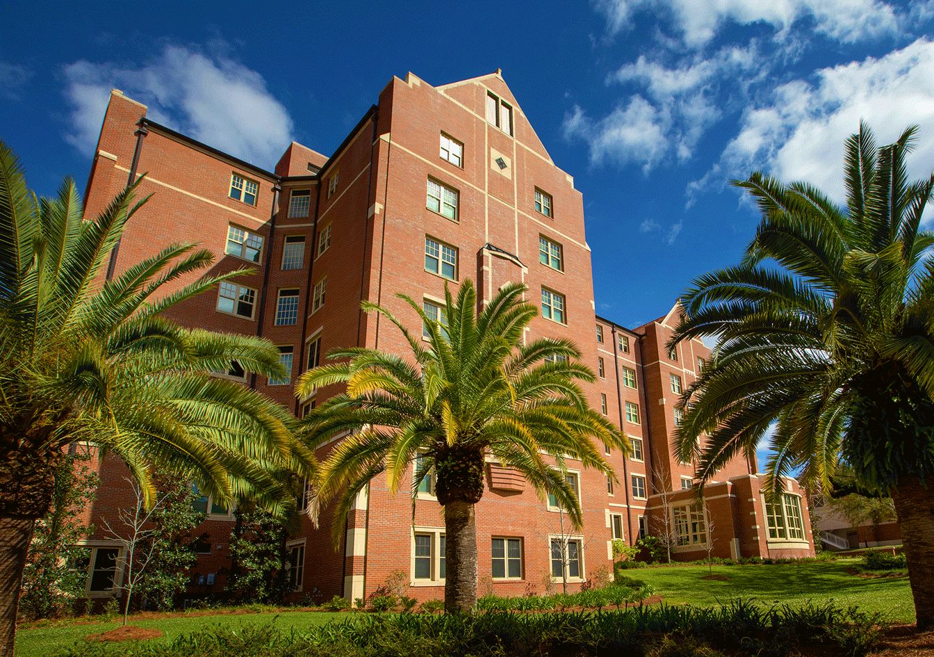 Dorman Hall, an FSU residence hall, with its brick facade and palm trees out front under a blue sky
