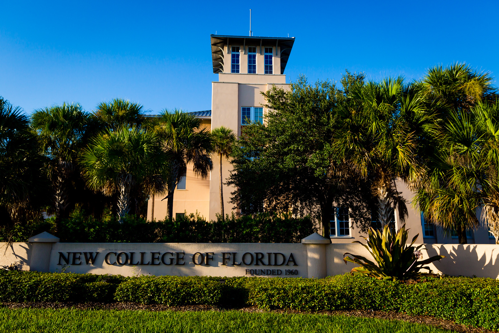 "New College of Florida" entrance sign in front of the Academic Center (ACE), with its tower and surrounding palm trees