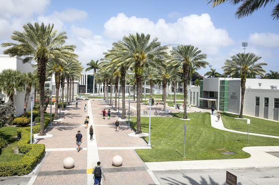 Estudantes caminhando pela alameda de palmeiras reais do campus da Florida Atlantic University em Boca Raton. com gramado. prédios brancos e céu azul em um dia de sol