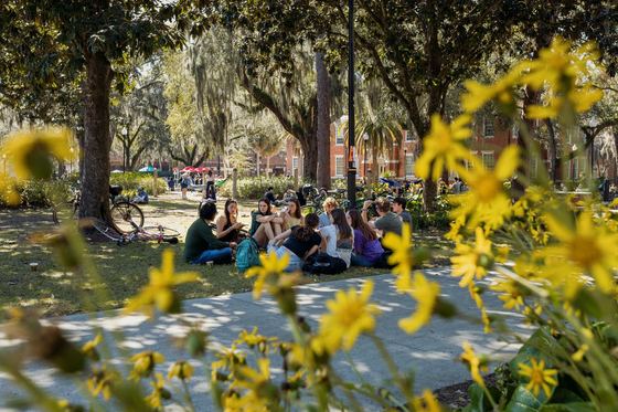 Grupo de estudantes sentados em roda no gramado da Plaza of the Americas. sob carvalhos e diante de prédios de tijolo vermelho. em um dia de sol no campus da University of Florida em Gainesville