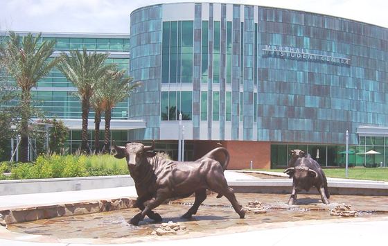Esculturas de touros em bronze na fonte em frente ao Marshall Student Center. no campus de Tampa da USF