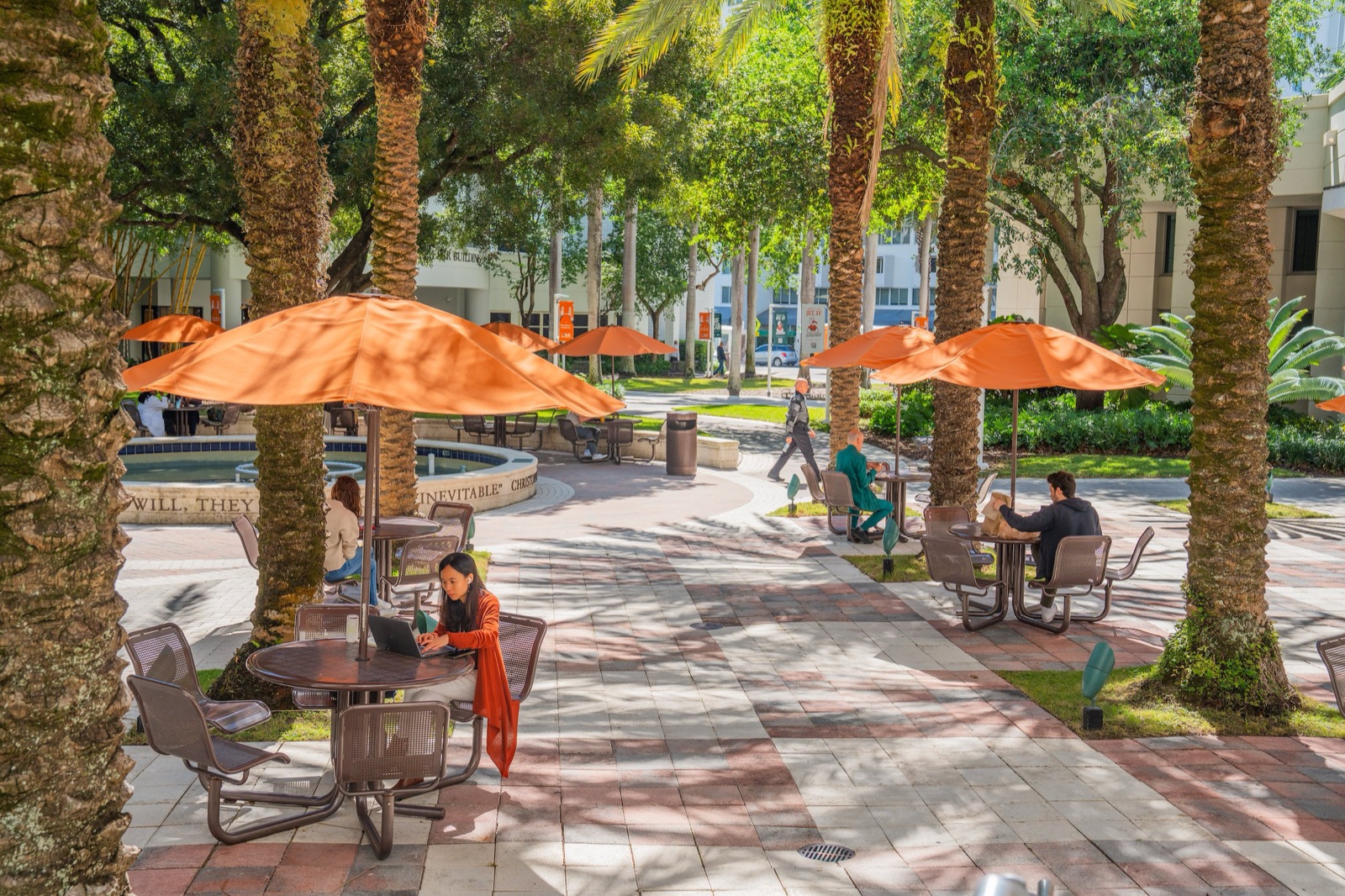 Palm-lined walkway with tables and orange umbrellas on the University of Miami Coral Gables campus