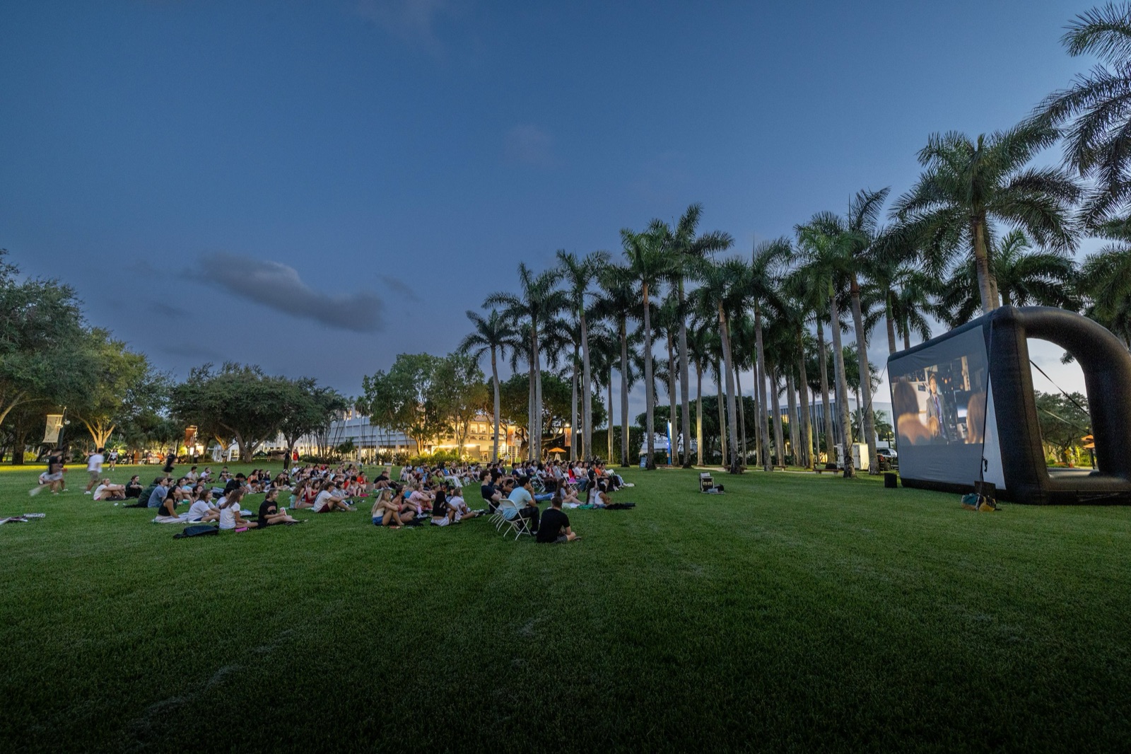 Students gathered on the lawn among royal palms at dusk for an outdoor movie on the University of Miami campus