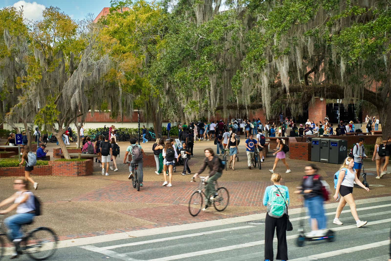 Students walking, cycling and scootering across Turlington Plaza under moss-draped oaks at the University of Florida