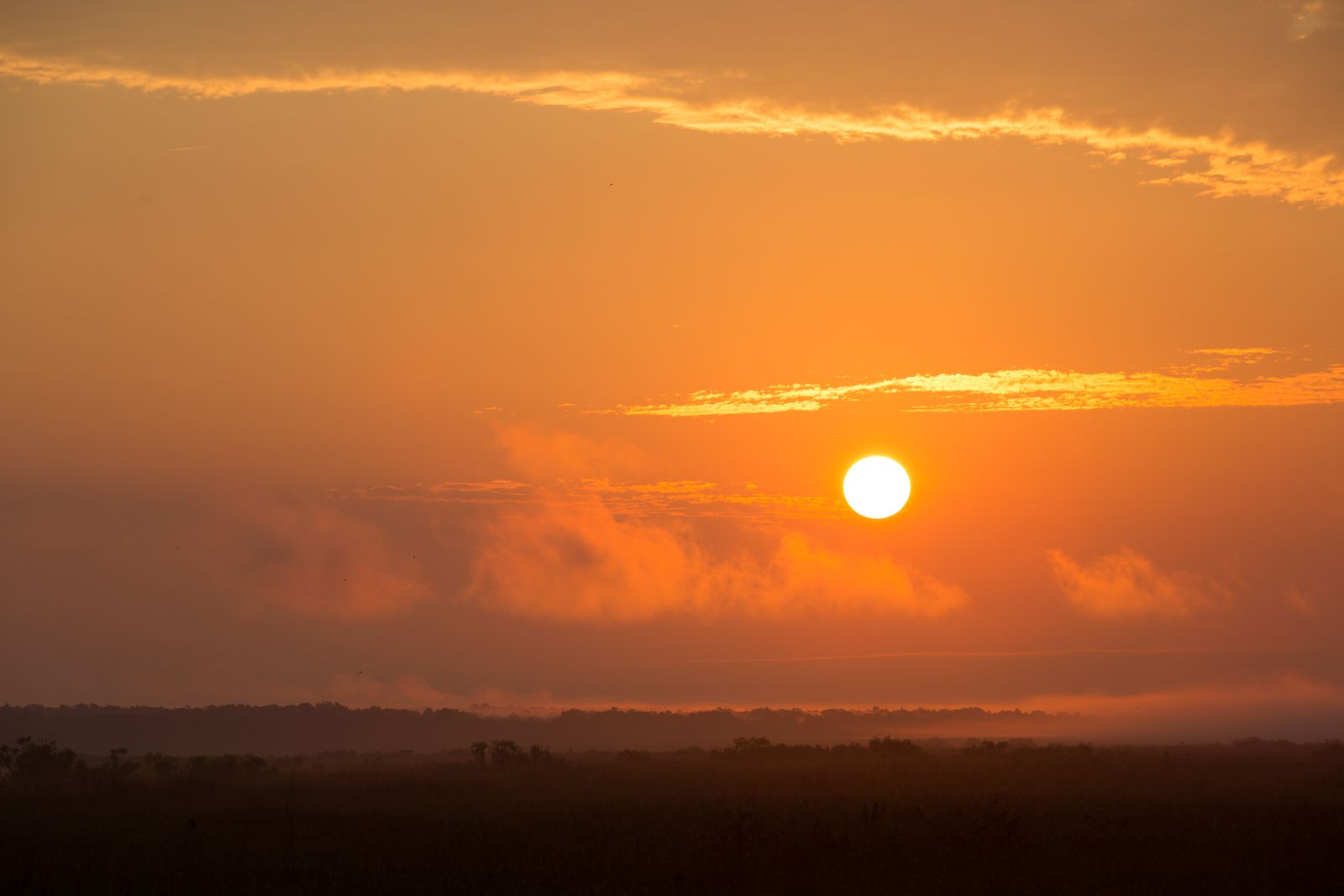 Sunrise over the wetland flats of Paynes Prairie, the state preserve just south of Gainesville, under an orange sky