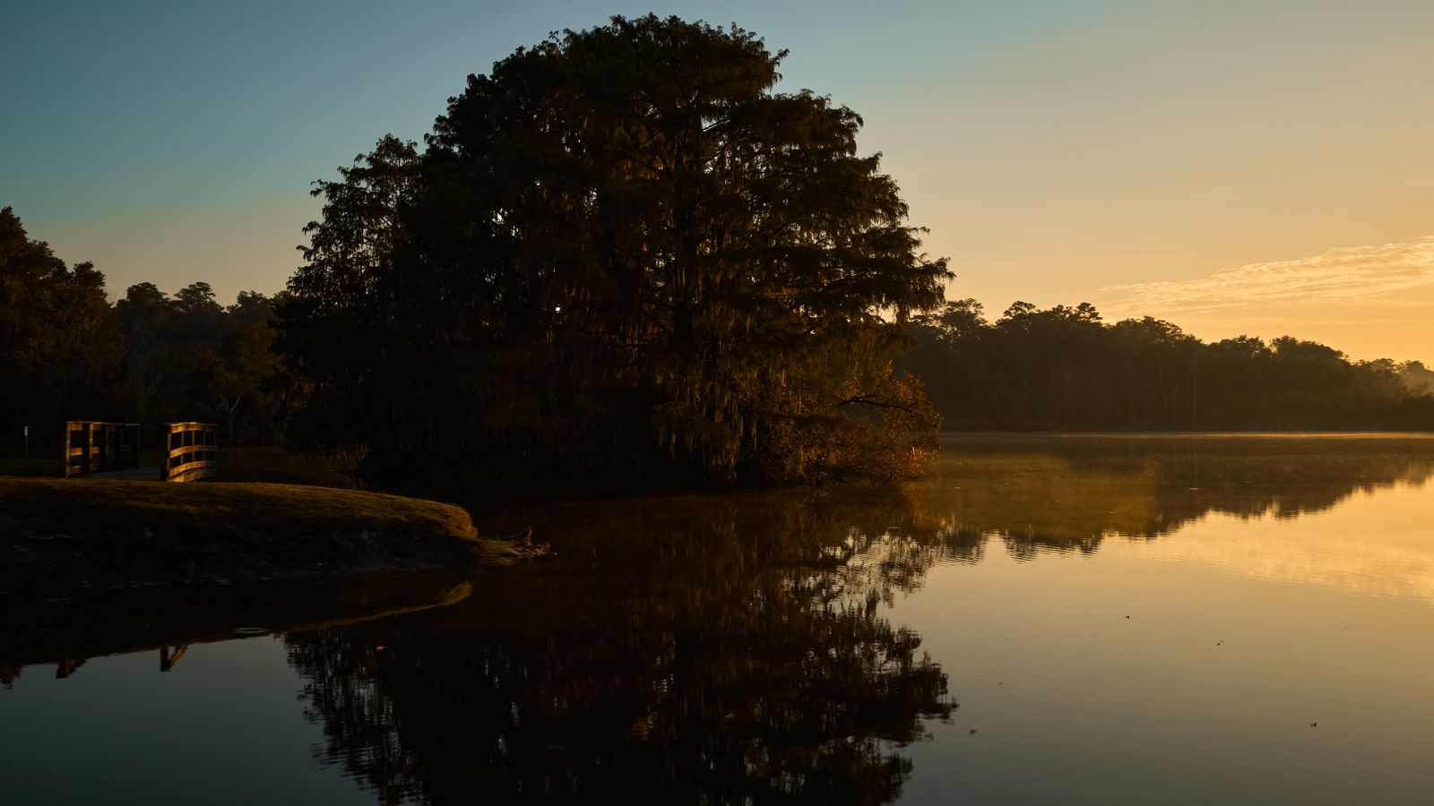 Sunrise at Lake Alice, with oaks and mist reflected in the still water, in Gainesville