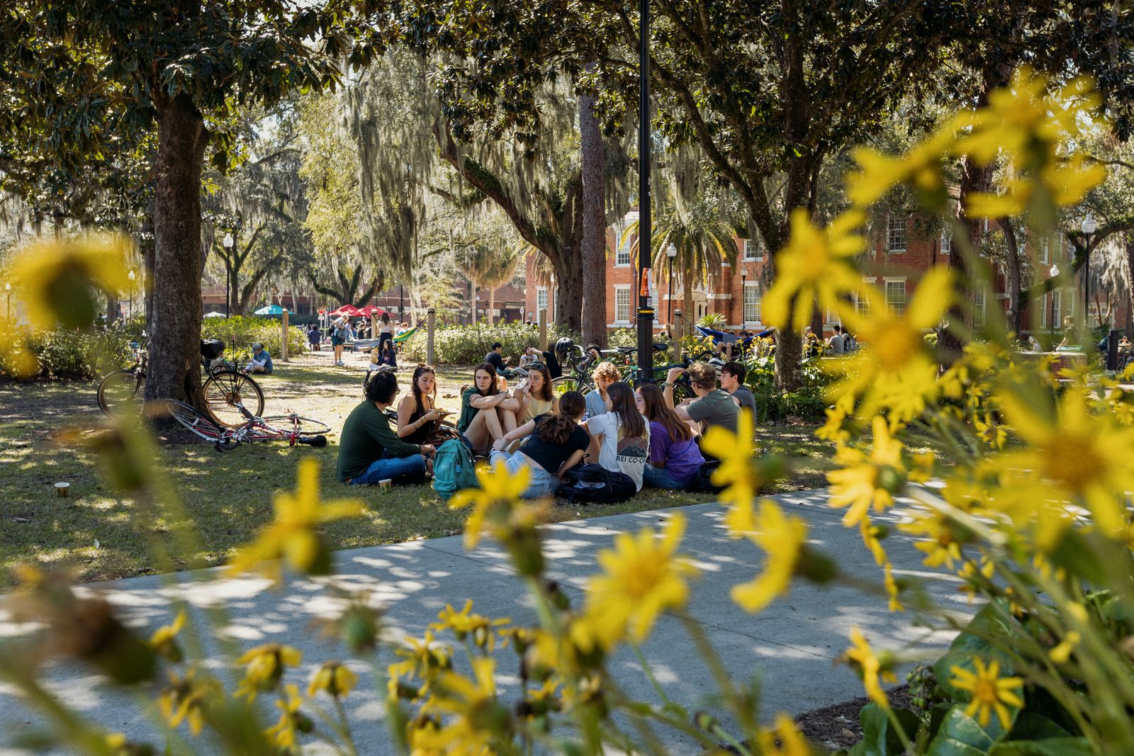 A group of students sitting in a circle on the lawn of the Plaza of the Americas, under live oaks and in front of red-brick buildings, on a sunny day at the University of Florida campus in Gainesville