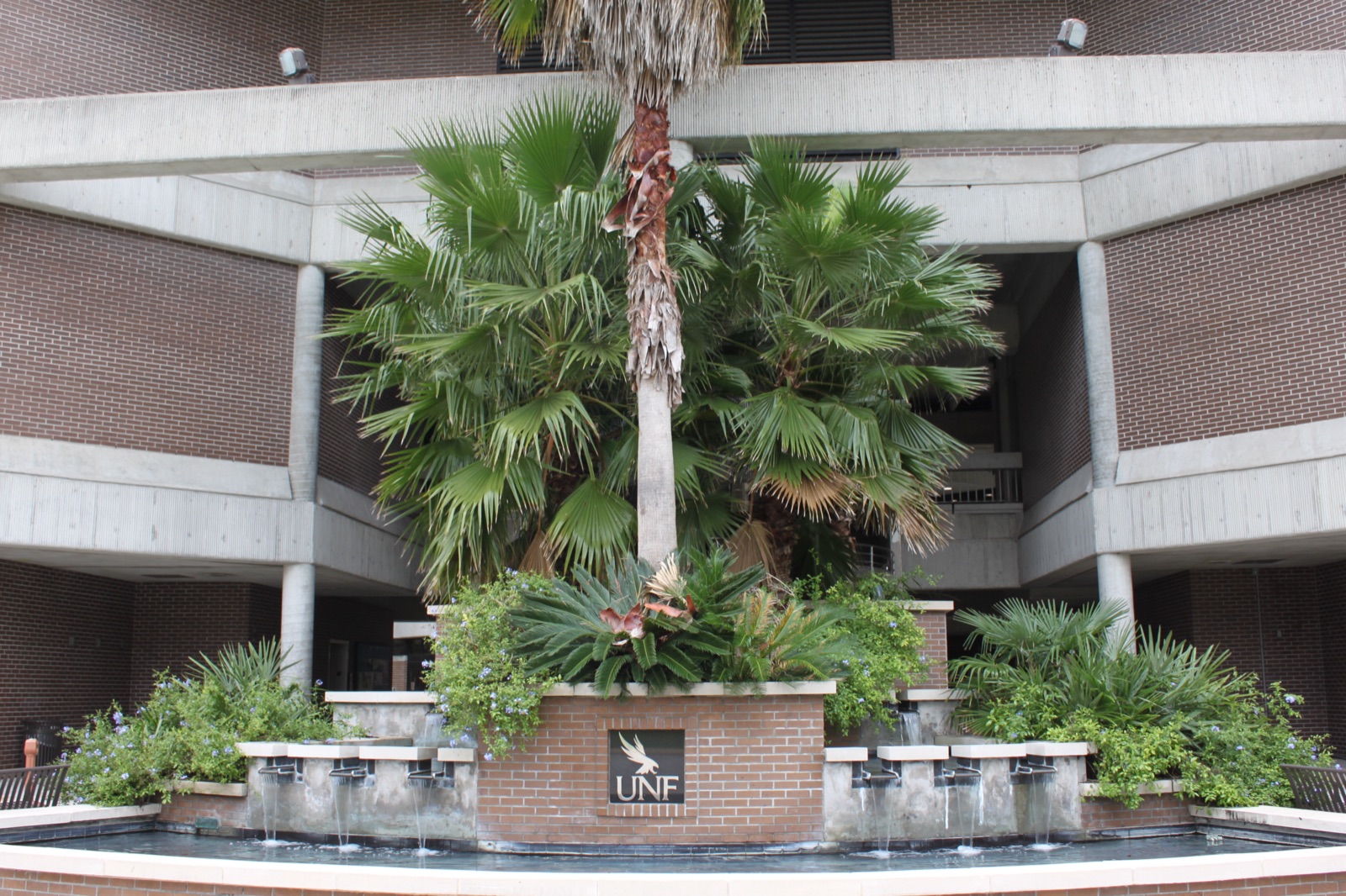 Fountain with palm trees outside Founders Hall (Building 1) at UNF