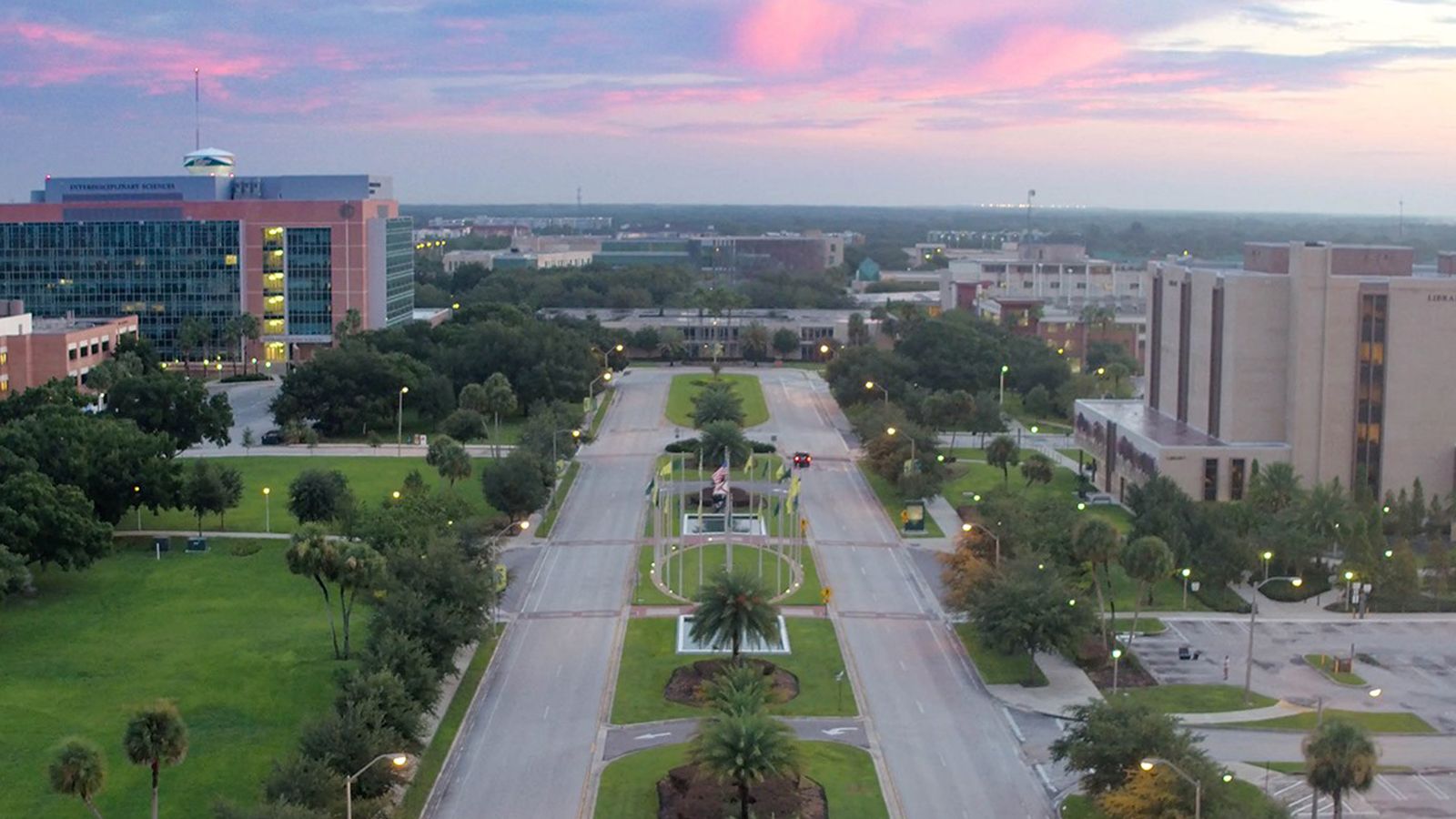 Aerial view of the central boulevard of USF's Tampa campus at dawn, with palms on the median and academic buildings on both sides