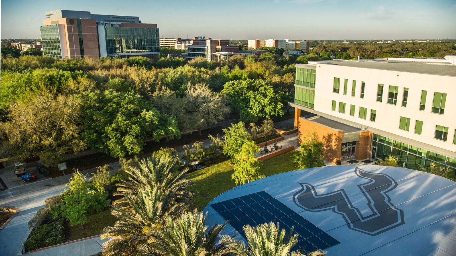 View over USF's Tampa campus with the Bull U logo painted on a rooftop, oaks and palms, and academic buildings in the distance