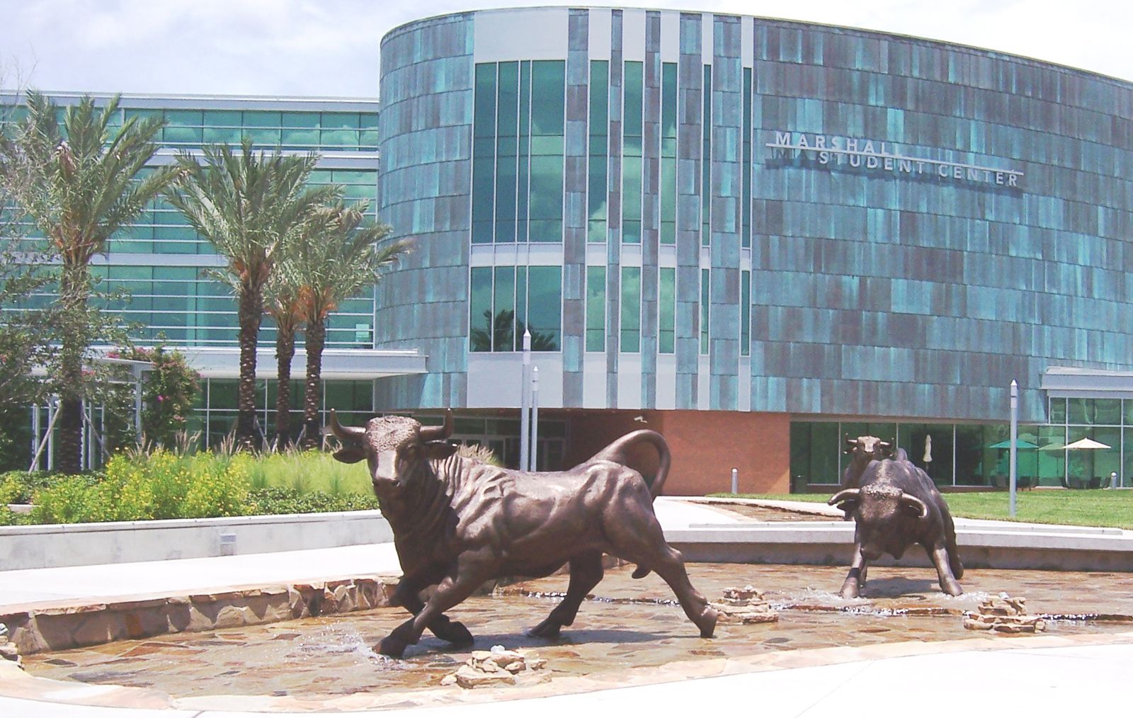 Bronze bull sculptures in the fountain in front of the Marshall Student Center on USF's Tampa campus