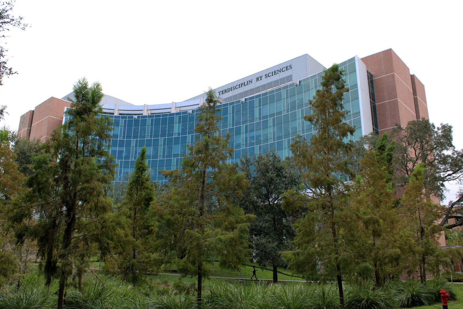 Curved glass facade of USF's Interdisciplinary Sciences Building seen through cypress trees and a lawn