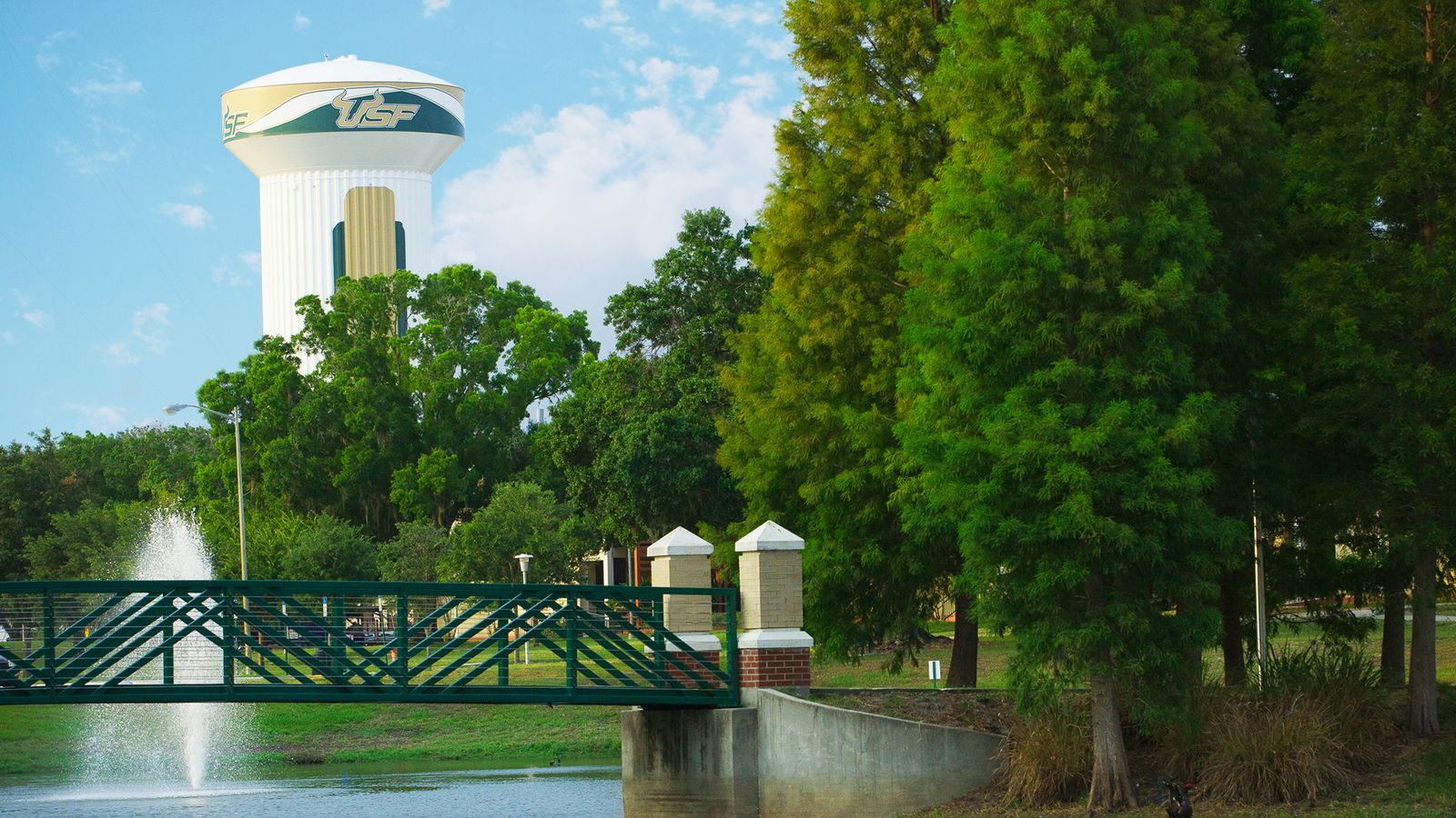 The USF green-and-gold water tower with the Bull U logo, seen past a footbridge and a fountain on the Tampa campus lake