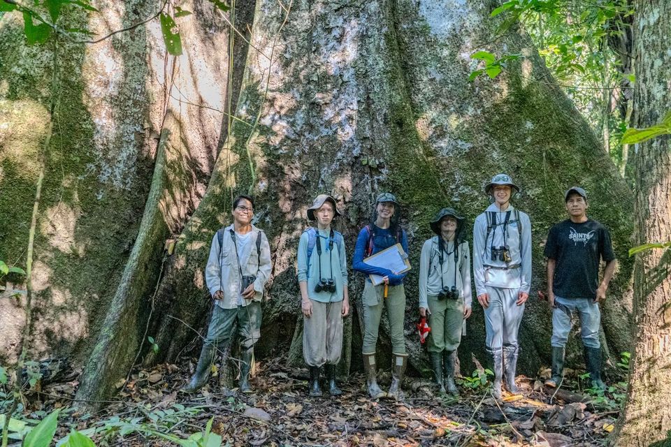 Alunos com botas e binóculos ao pé de uma árvore enorme durante uma viagem de estudo
