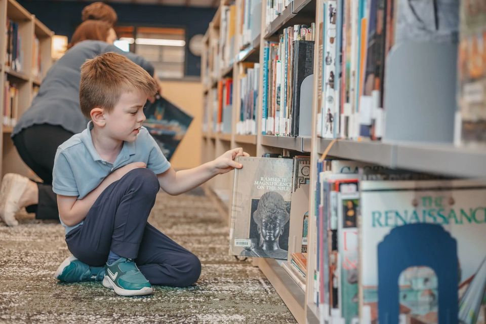 Aluno escolhendo um livro na biblioteca Harrison