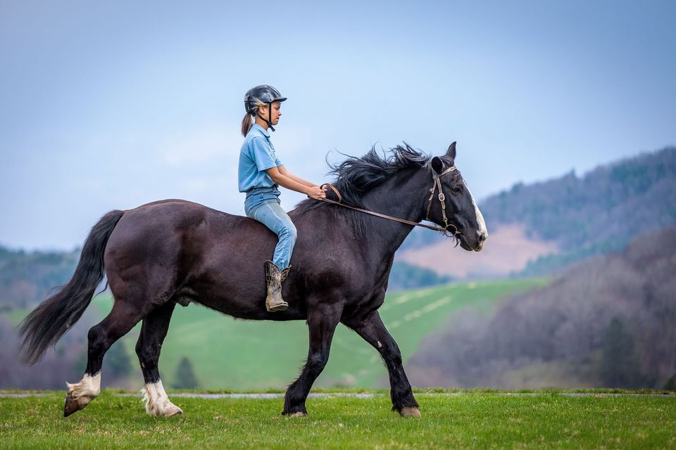 Aluna a cavalo no programa equestre