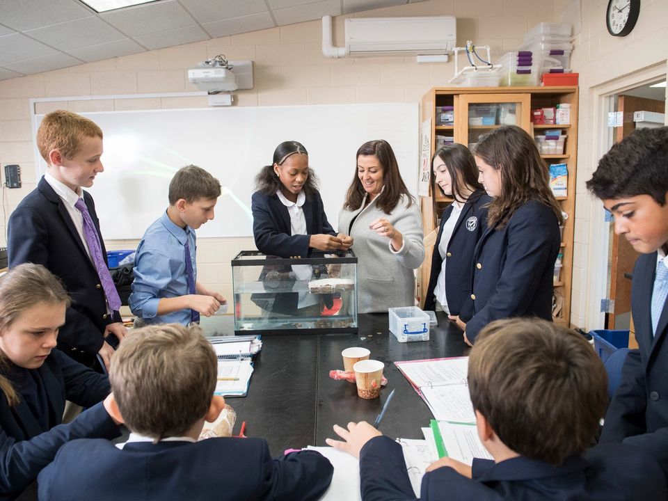 Alunos do Middle School reunidos em volta de um aquário na aula de ciências