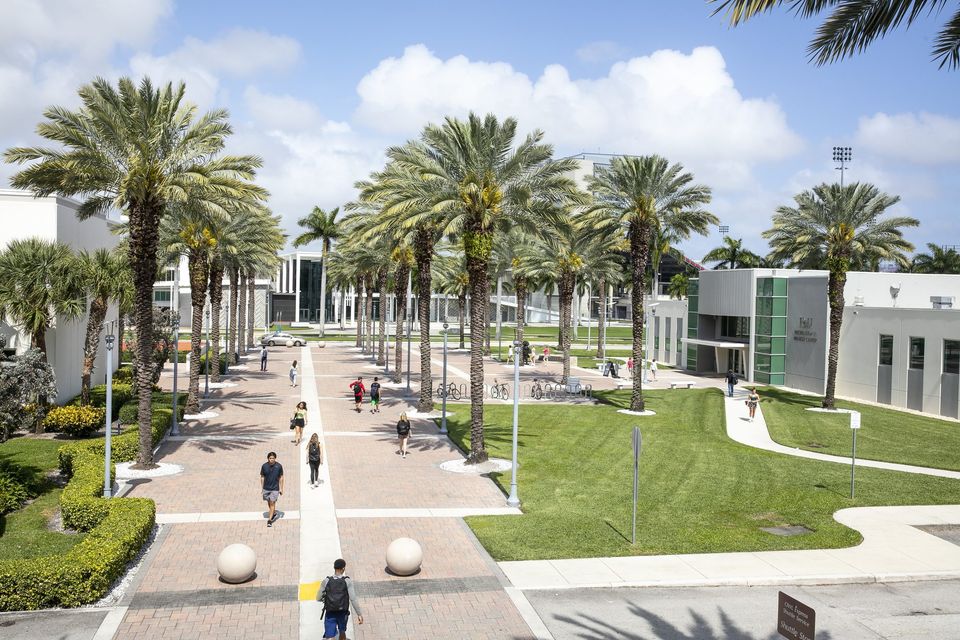 Estudantes caminhando pela alameda de palmeiras reais do campus da Florida Atlantic University em Boca Raton, com gramado, prédios brancos e céu azul em um dia de sol