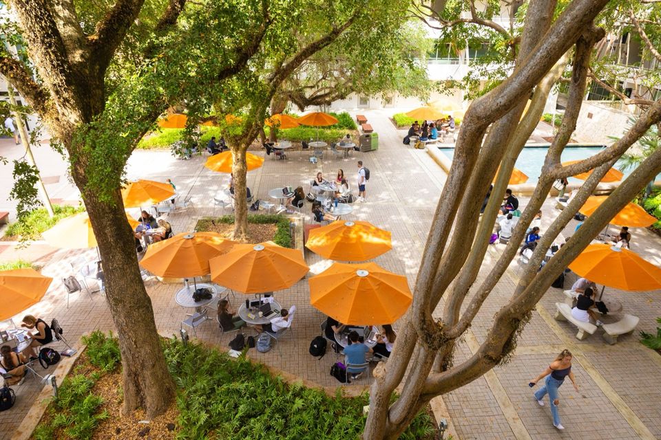 Estudantes estudando sob guarda-sóis laranja e árvores no pátio do campus da University of Miami