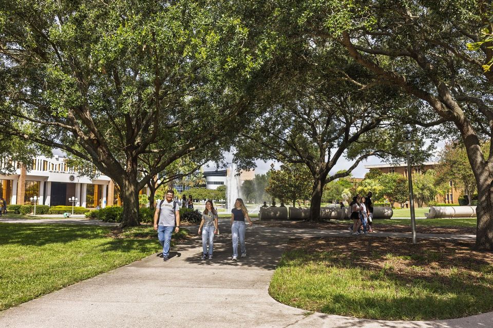 Estudantes caminhando por uma alameda sob carvalhos no campus principal da UCF, com prédios acadêmicos ao fundo